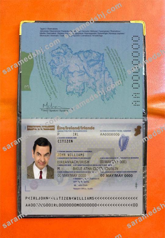 Ireland passport photo look